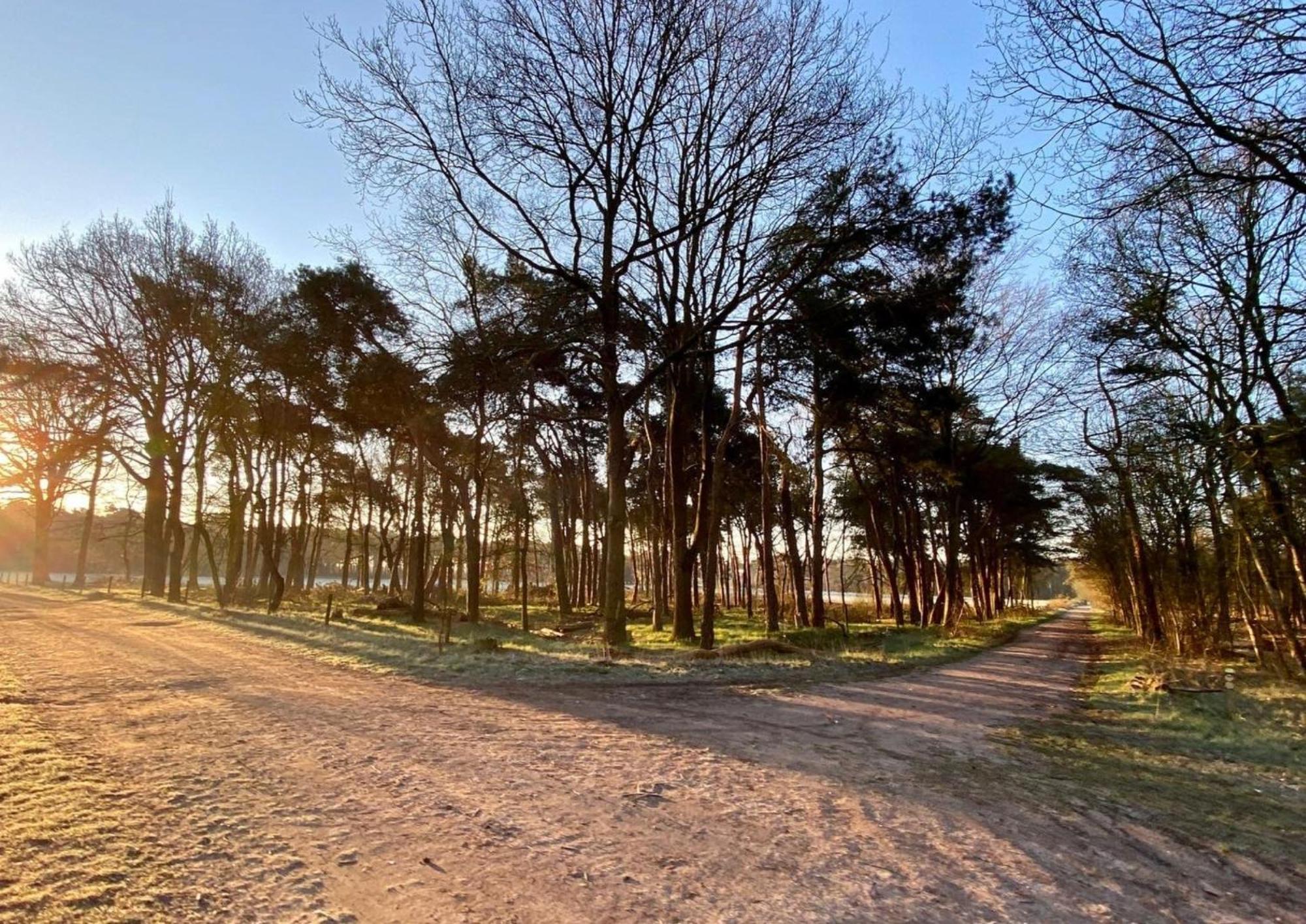 Appartamento Hotspot Location, Wifi, Bed En Koffie Harmony Tilburg Esterno foto